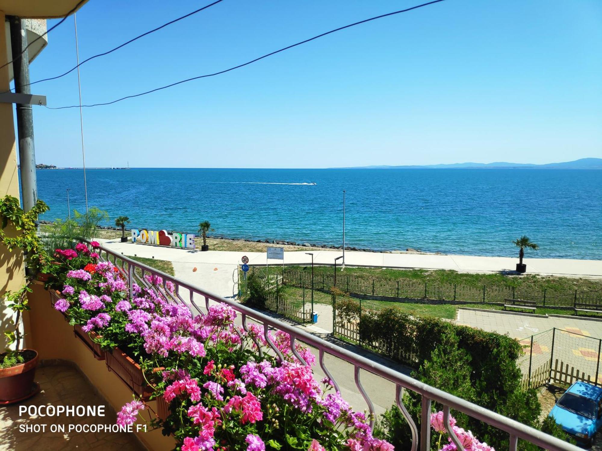 Homestay Kostadinov Ahyolu Dış mekan fotoğraf